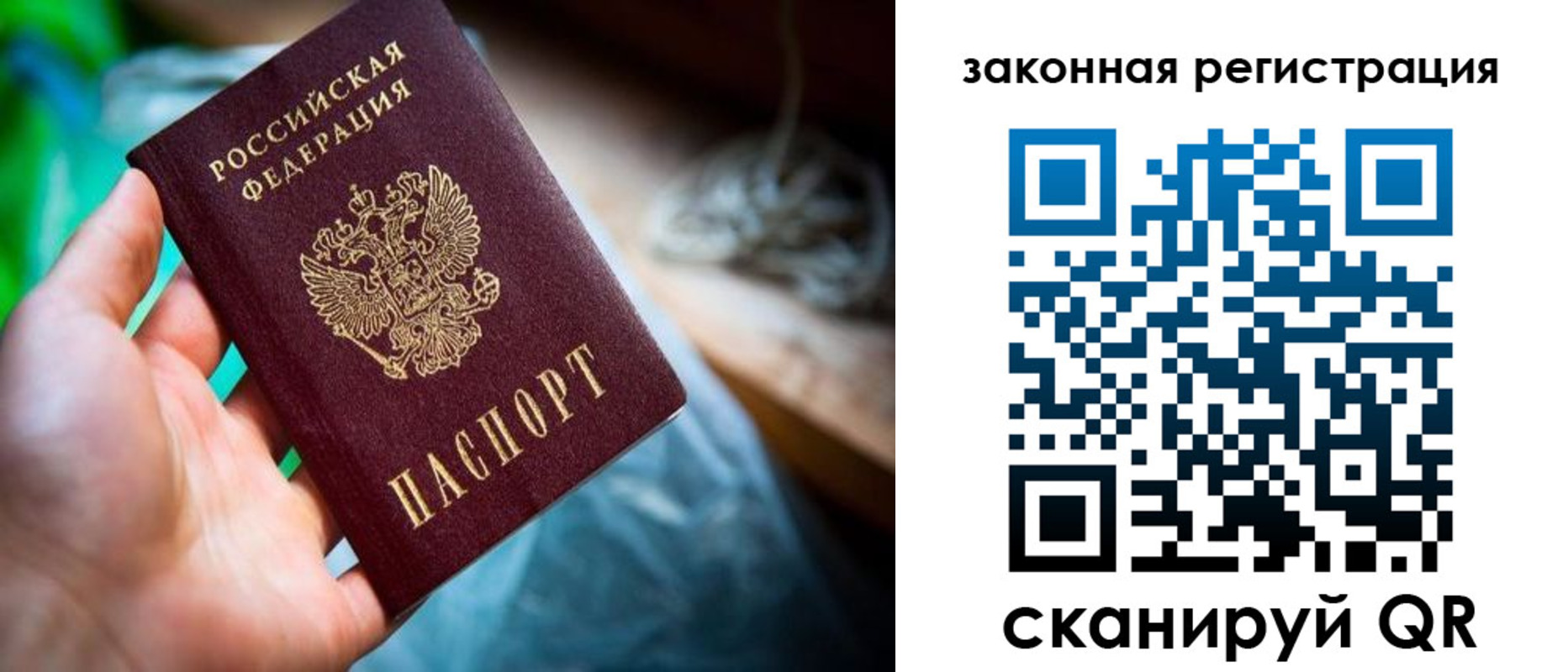 прописка в Купино